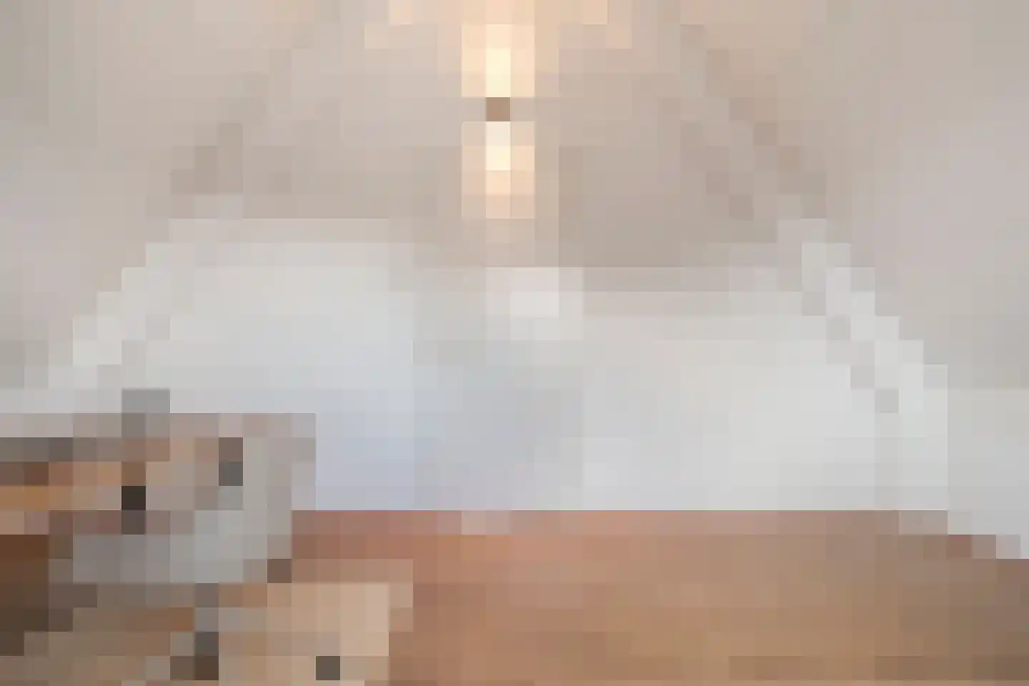 Botlekhof 25 Zwolle thumbnail 35
