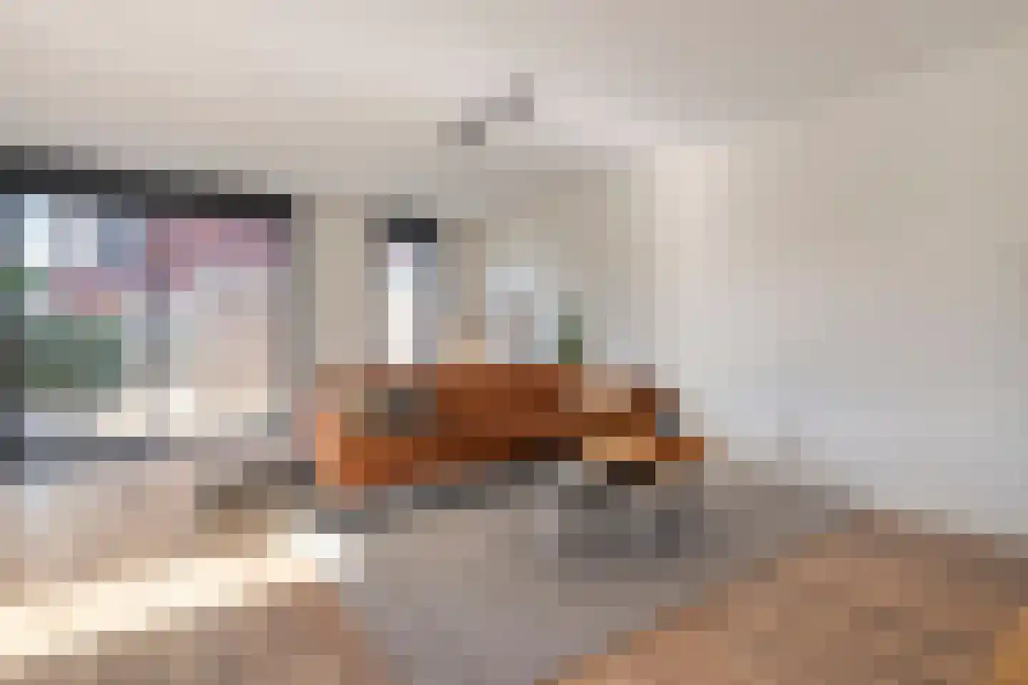 Botlekhof 25 Zwolle thumbnail 4