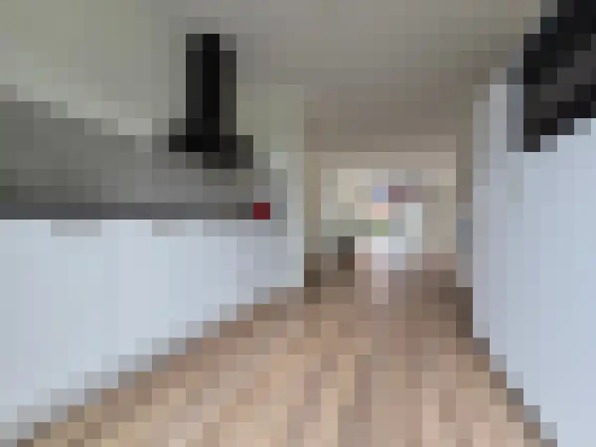 Botlekhof 25 Zwolle thumbnail 6