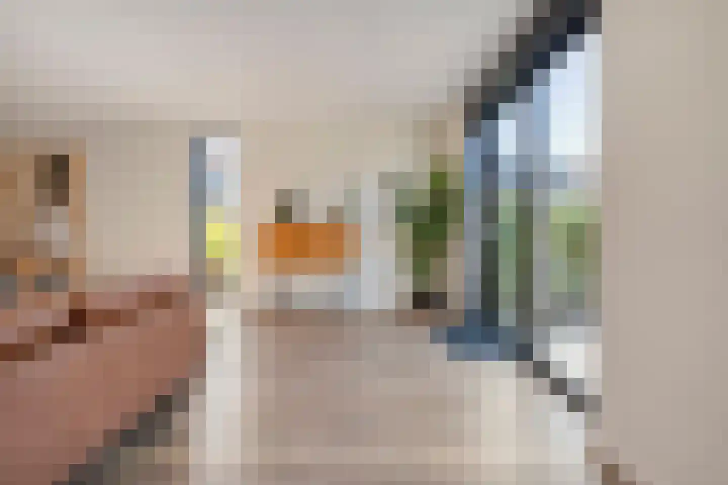 Botlekhof 25 Zwolle thumbnail 9