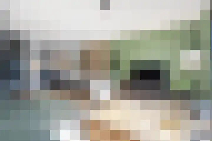 Botlekhof 9 Zwolle thumbnail 10