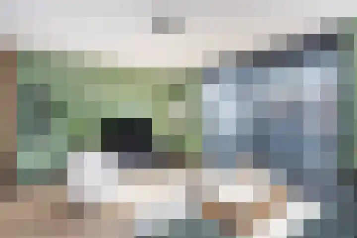 Botlekhof 9 Zwolle thumbnail 11