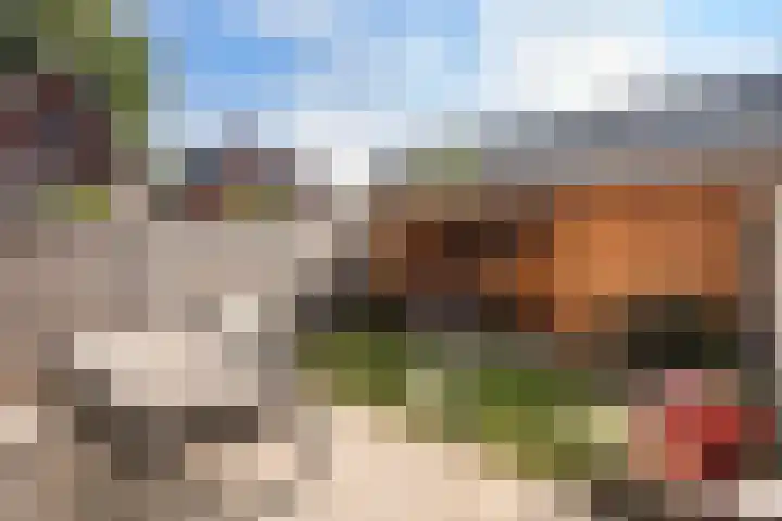 Botlekhof 9 Zwolle thumbnail 13