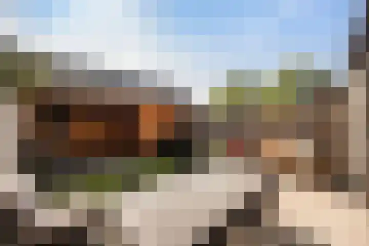 Botlekhof 9 Zwolle thumbnail 14