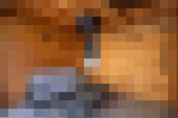 Botlekhof 9 Zwolle thumbnail 15