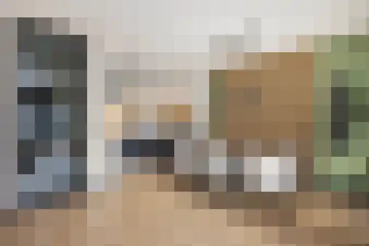 Botlekhof 9 Zwolle thumbnail 17
