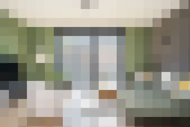 Botlekhof 9 Zwolle thumbnail 19