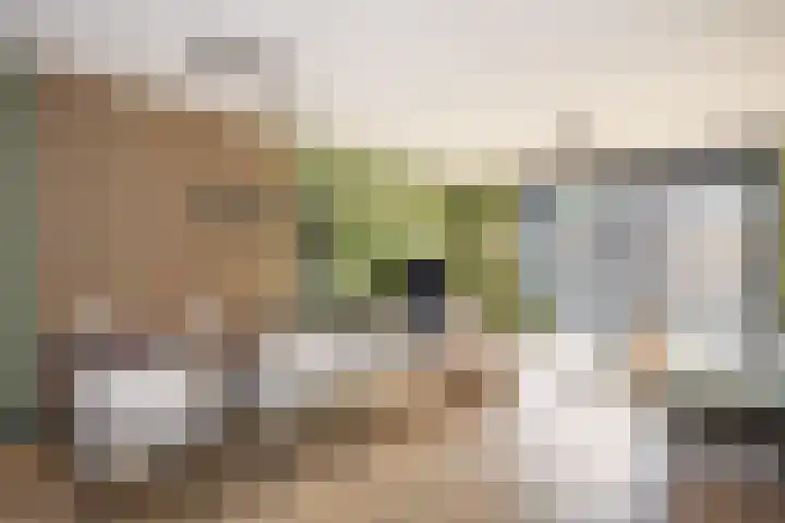 Botlekhof 9 Zwolle thumbnail 22