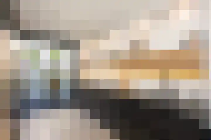 Botlekhof 9 Zwolle thumbnail 23