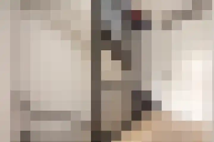 Botlekhof 9 Zwolle thumbnail 28