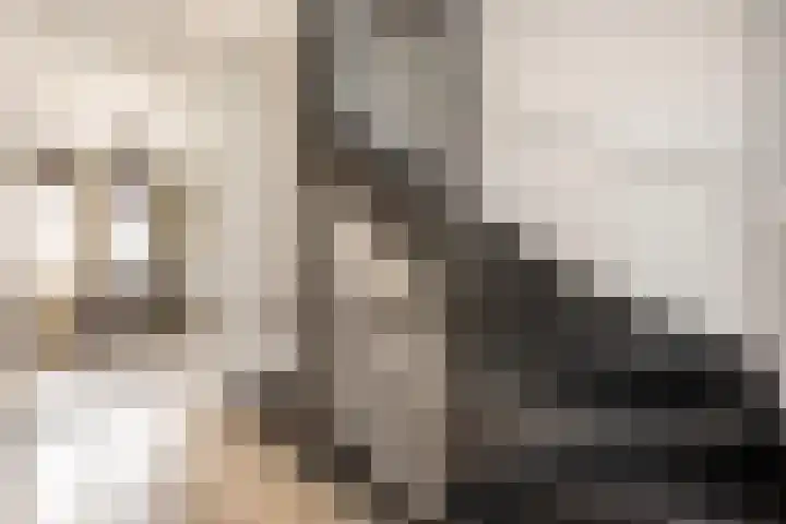 Botlekhof 9 Zwolle thumbnail 29