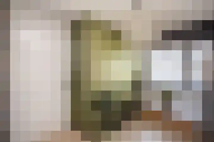 Botlekhof 9 Zwolle thumbnail 34
