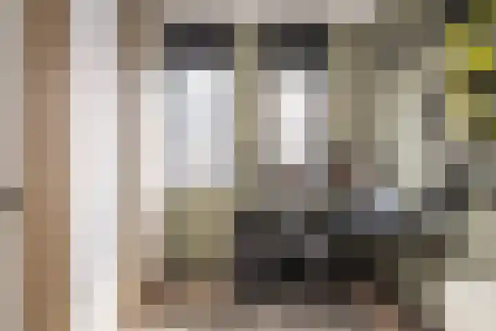 Botlekhof 9 Zwolle thumbnail 35