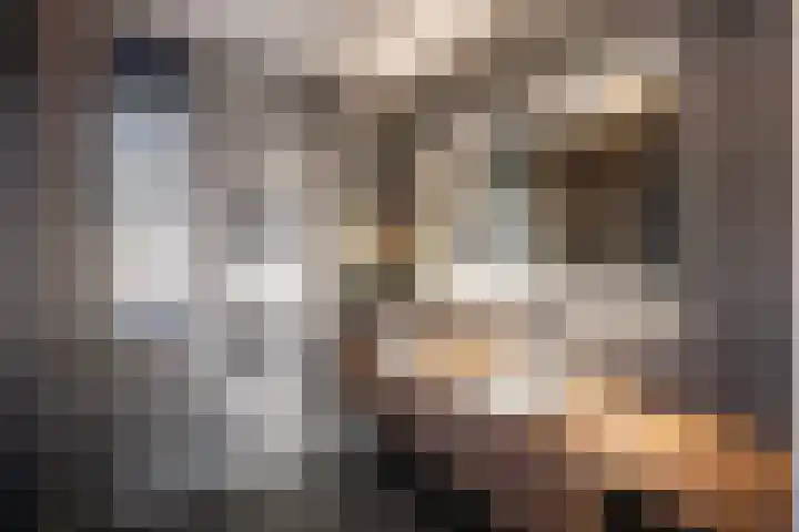 Botlekhof 9 Zwolle thumbnail 36