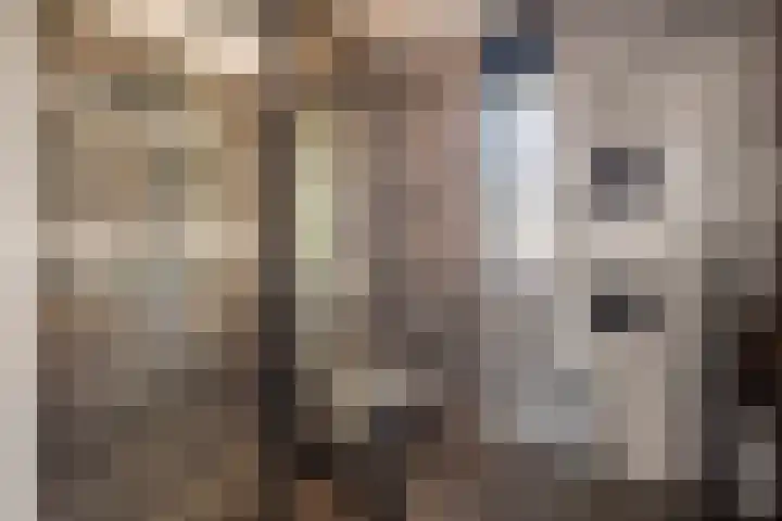 Botlekhof 9 Zwolle thumbnail 37