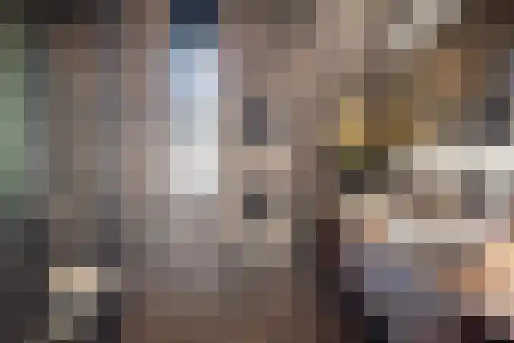 Botlekhof 9 Zwolle thumbnail 38