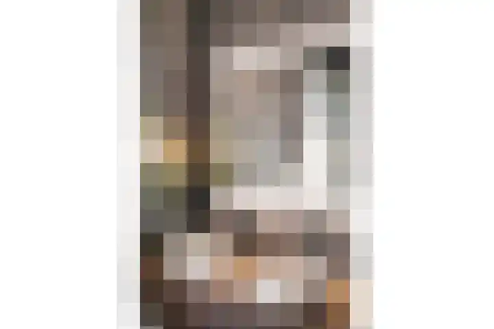 Botlekhof 9 Zwolle thumbnail 39