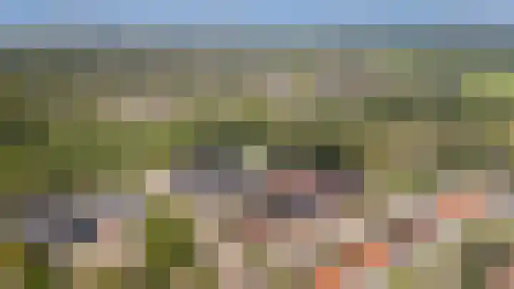 Botlekhof 9 Zwolle thumbnail 4