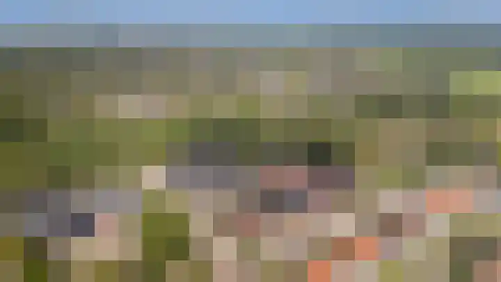 Botlekhof 9 Zwolle thumbnail 44