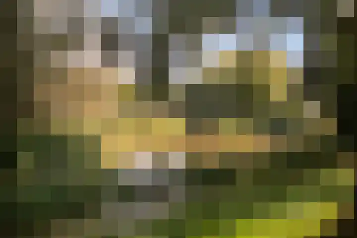 Botlekhof 9 Zwolle thumbnail 45