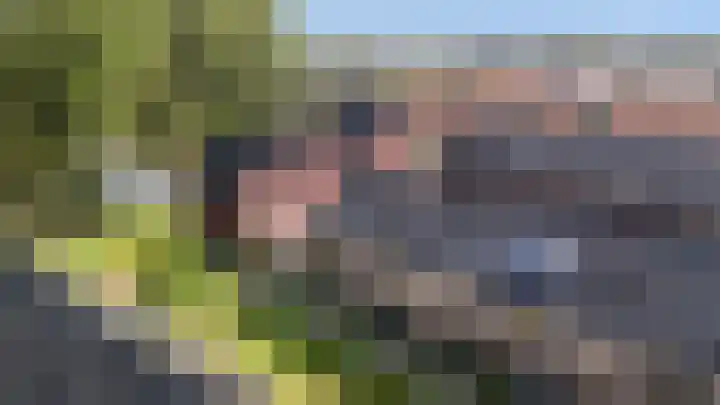 Botlekhof 9 Zwolle thumbnail 5