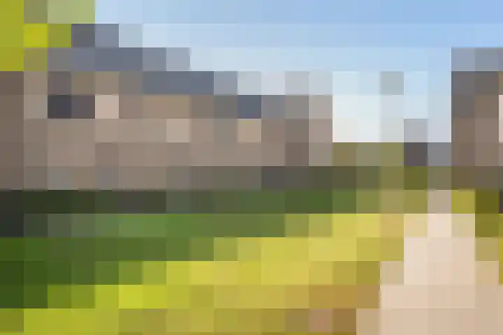 Botlekhof 9 Zwolle thumbnail 6