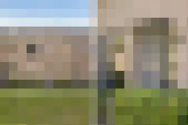 Botlekhof 9 Zwolle thumbnail 7