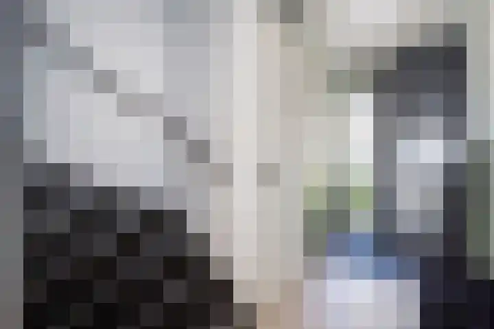 Botlekhof 9 Zwolle thumbnail 8