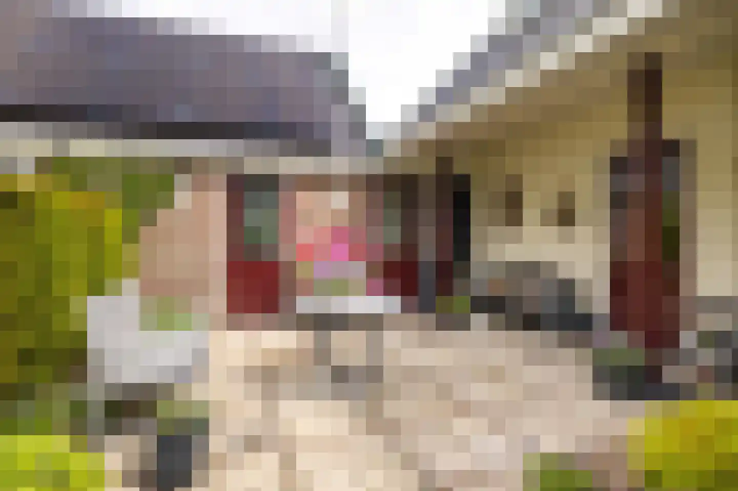Botniaweg 12 Marrum thumbnail 16