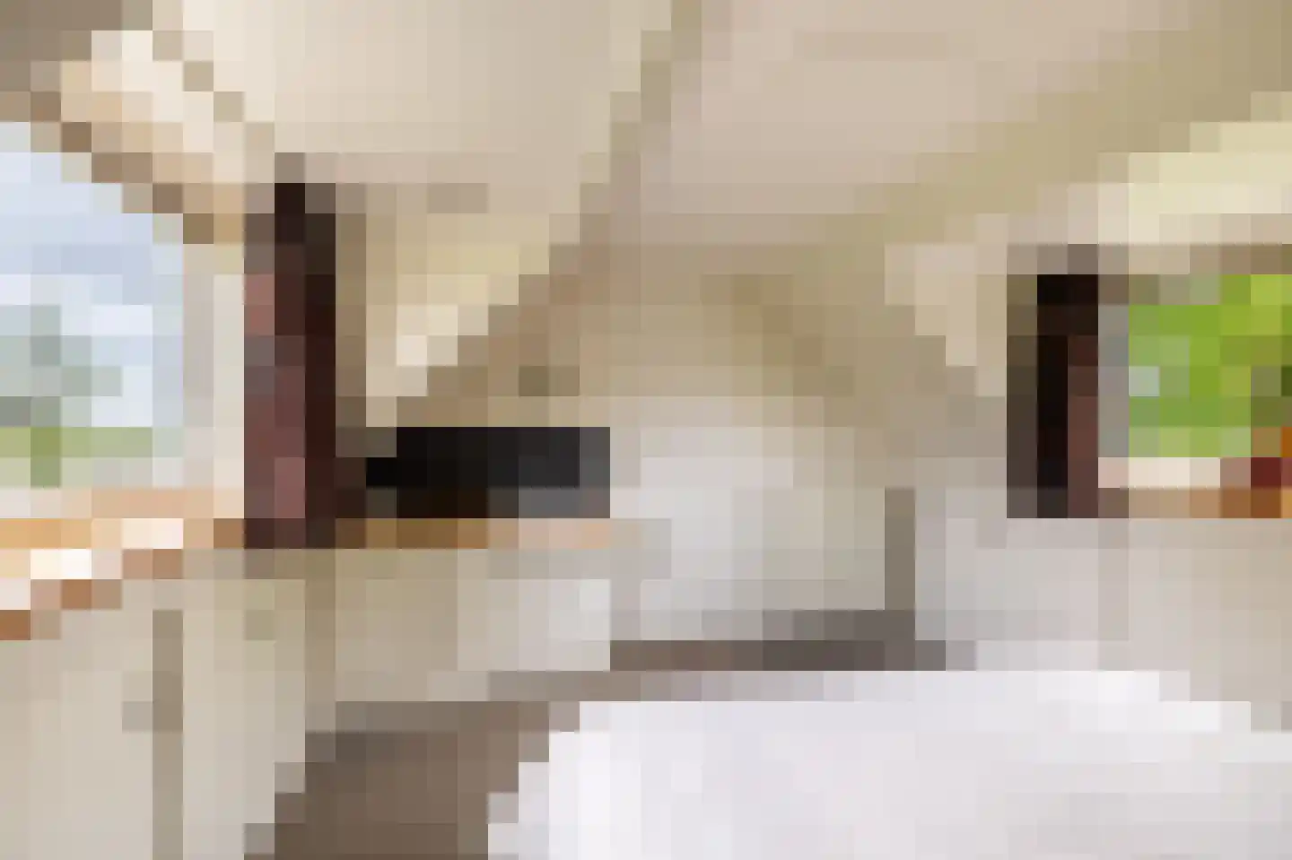 Botniaweg 12 Marrum thumbnail 47