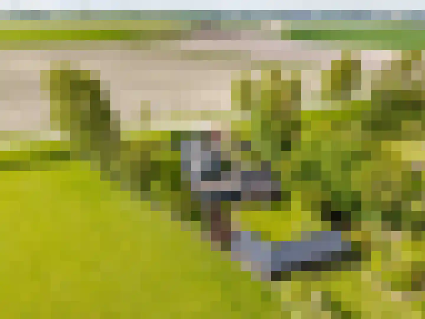 Botniaweg 12 Marrum thumbnail 58