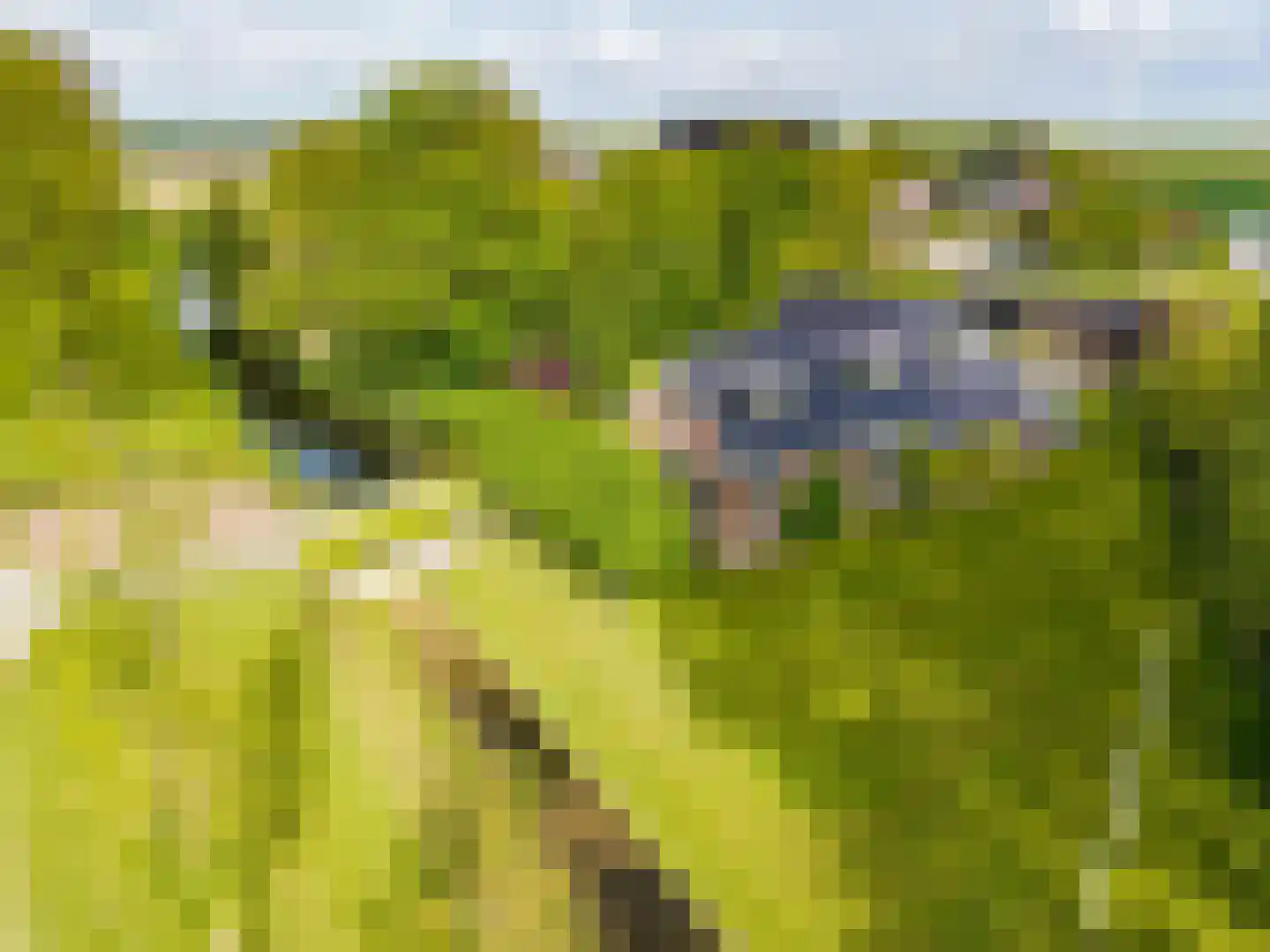 Botniaweg 12 Marrum thumbnail 7
