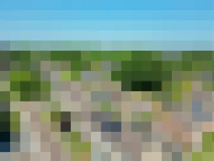 Botnische Golf 19 Veendam thumbnail 30