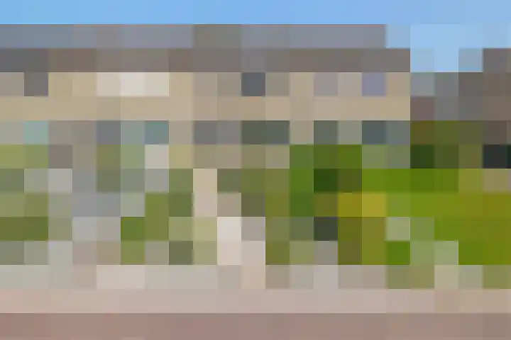 Botnische Golf 19 Veendam thumbnail 43