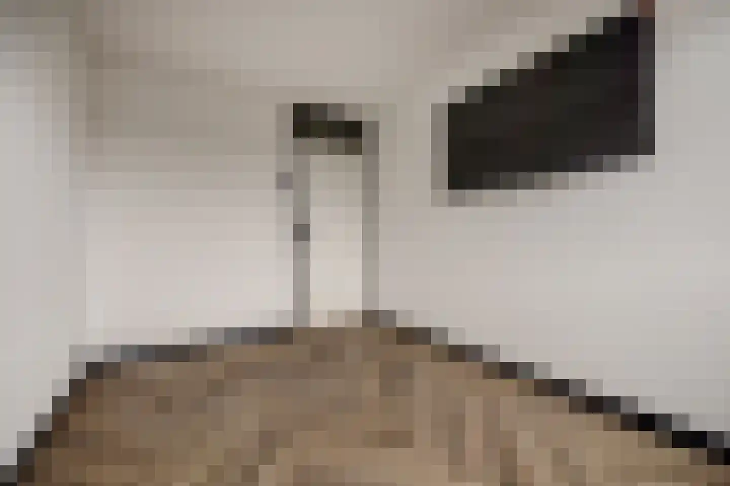 Botreep 88 Hoogvliet Rotterdam thumbnail 16