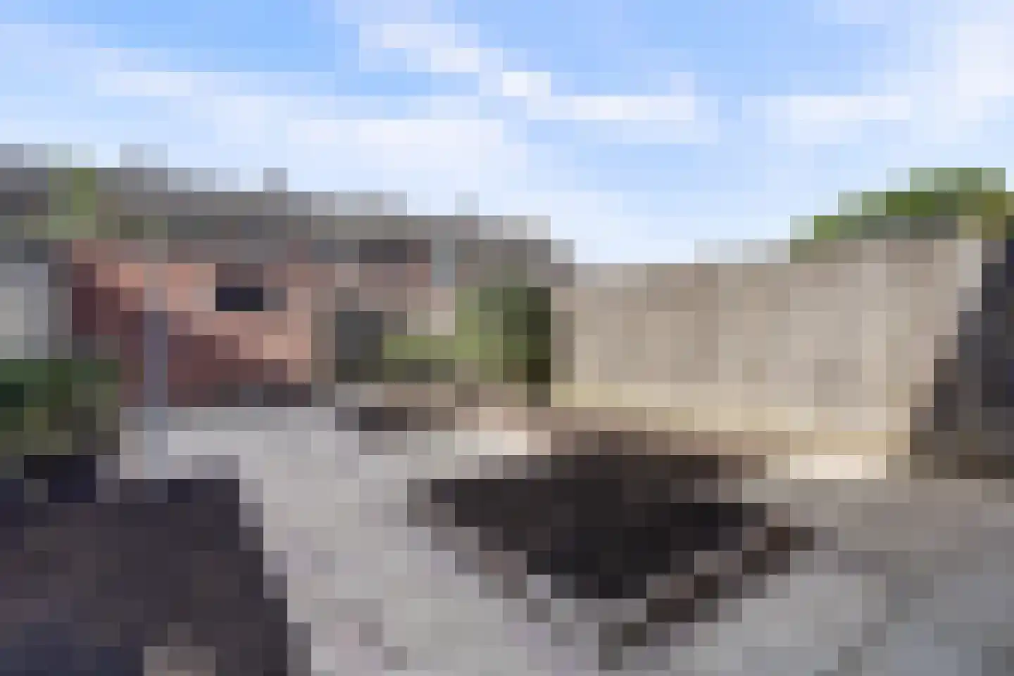 Botreep 88 Hoogvliet Rotterdam thumbnail 25
