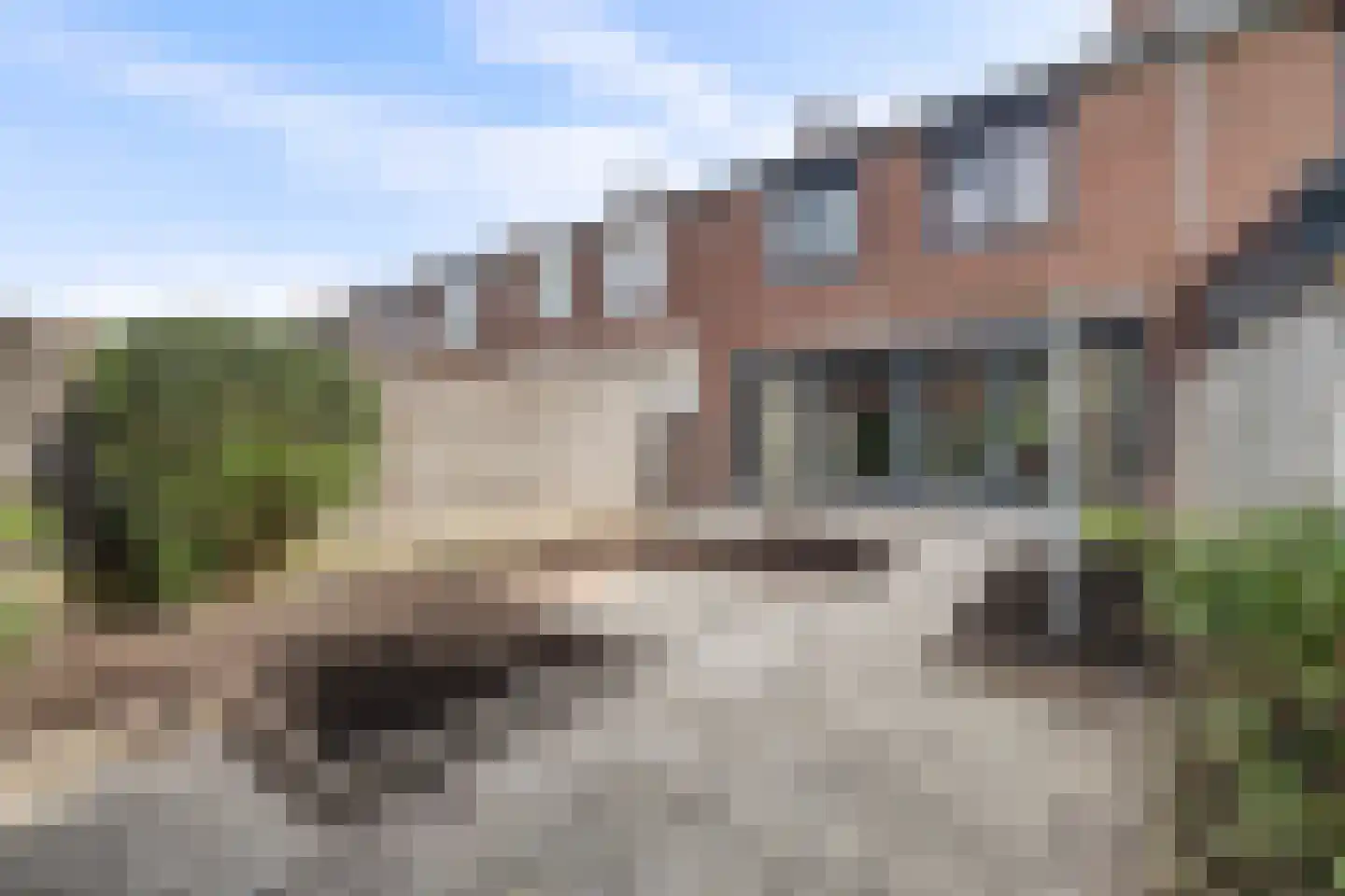 Botreep 88 Hoogvliet Rotterdam thumbnail 26