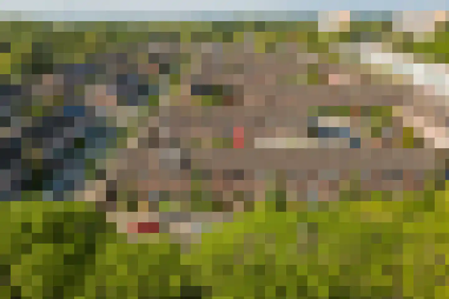 Botreep 88 Hoogvliet Rotterdam thumbnail 28