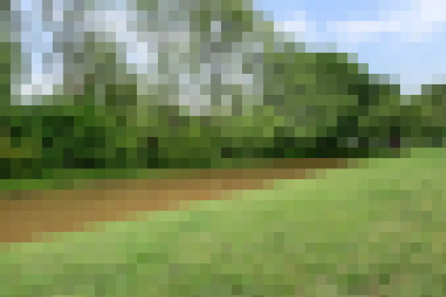 Botreep 88 Hoogvliet Rotterdam thumbnail 29