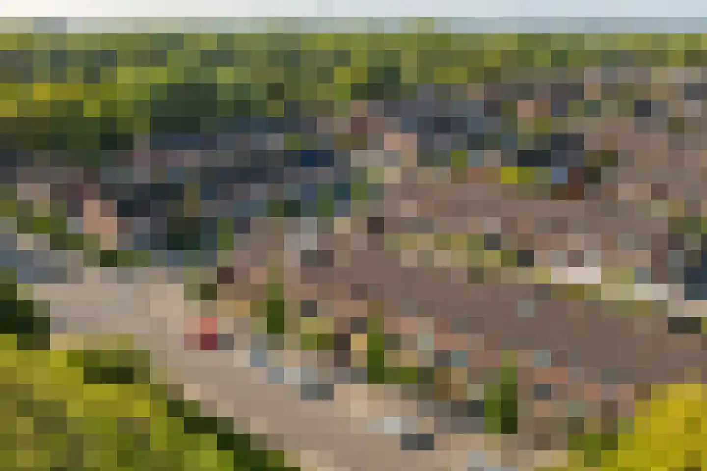 Botreep 88 Hoogvliet Rotterdam thumbnail 30