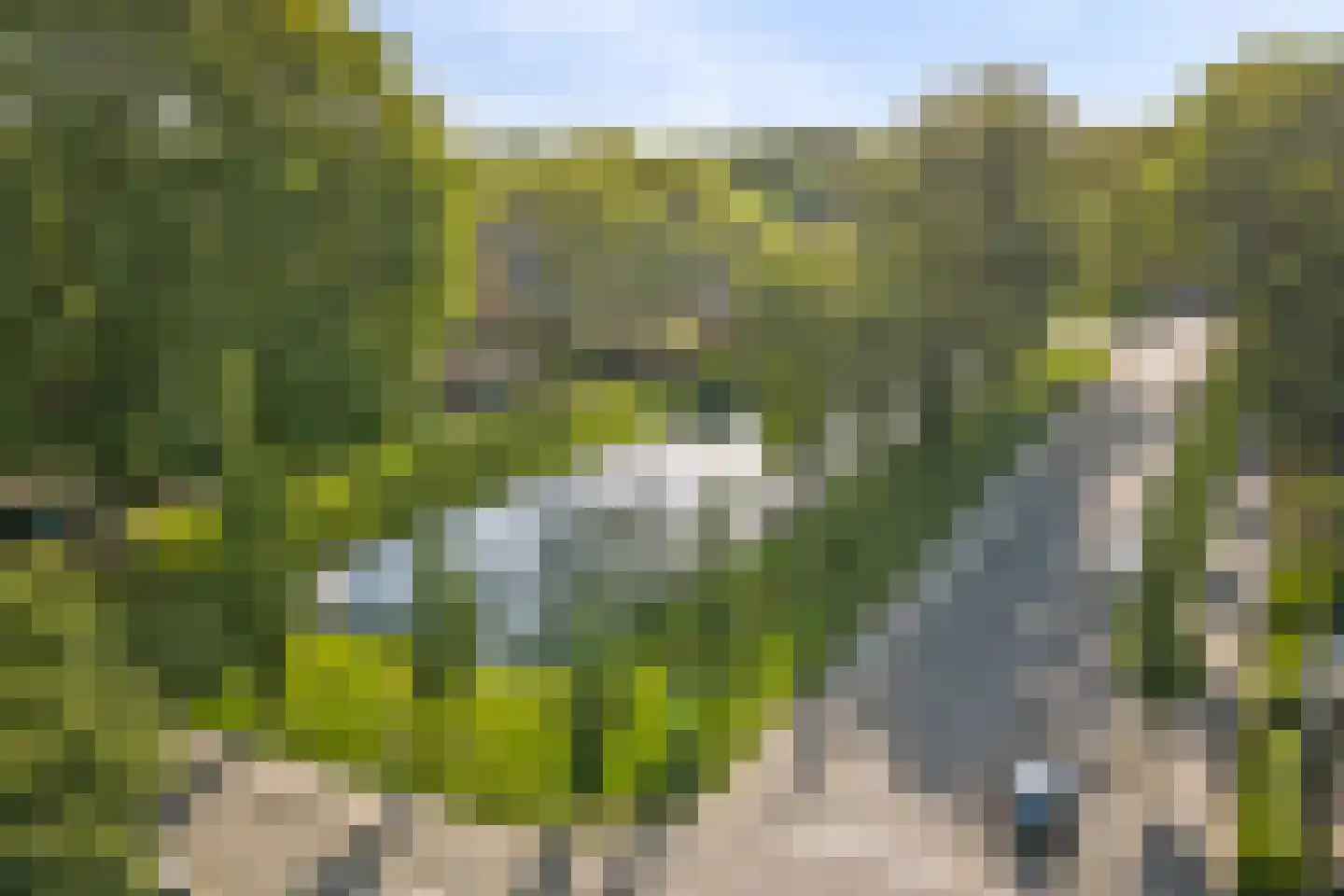 Botreep 88 Hoogvliet Rotterdam thumbnail 31