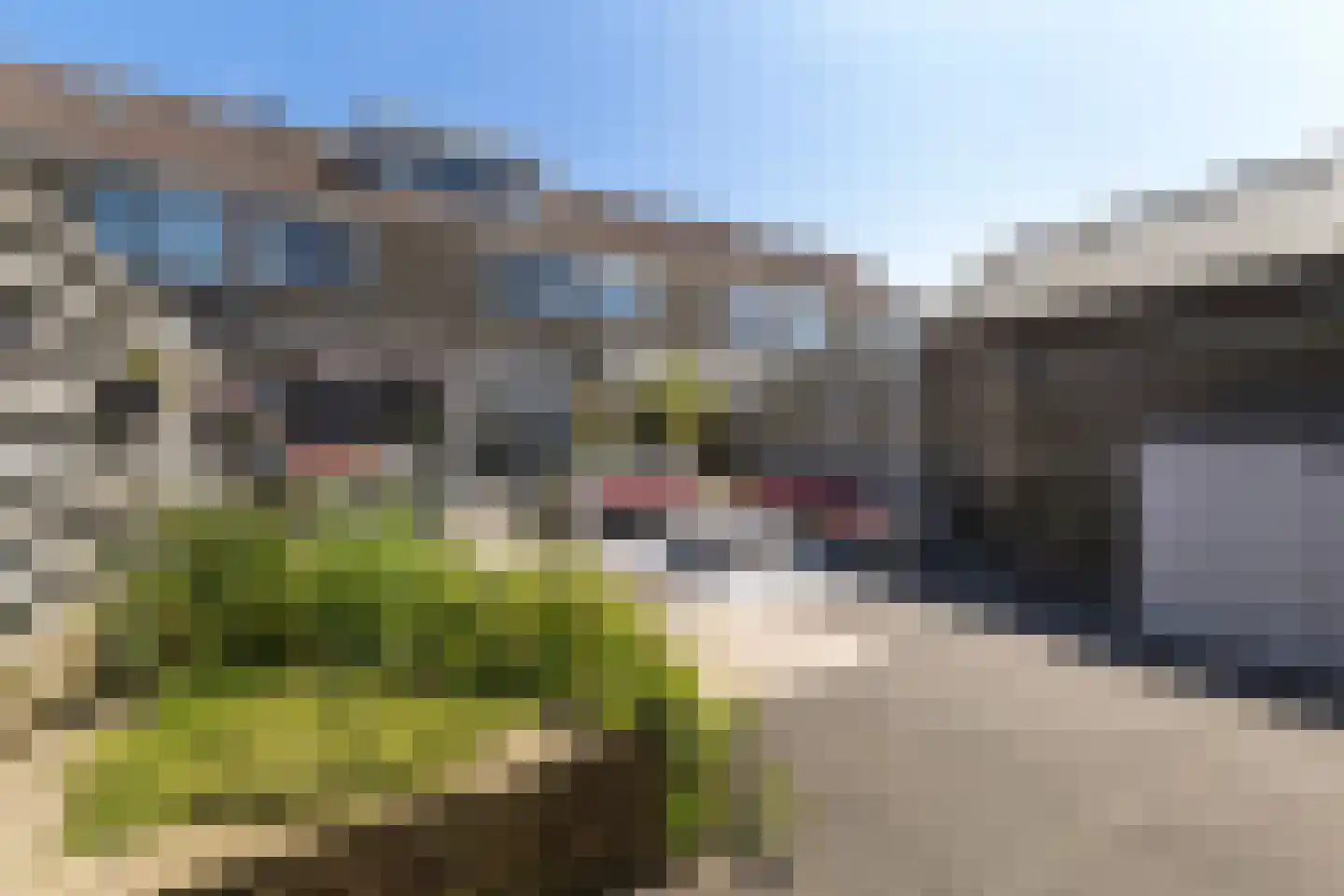 Botsaard 12 Kollum thumbnail 19