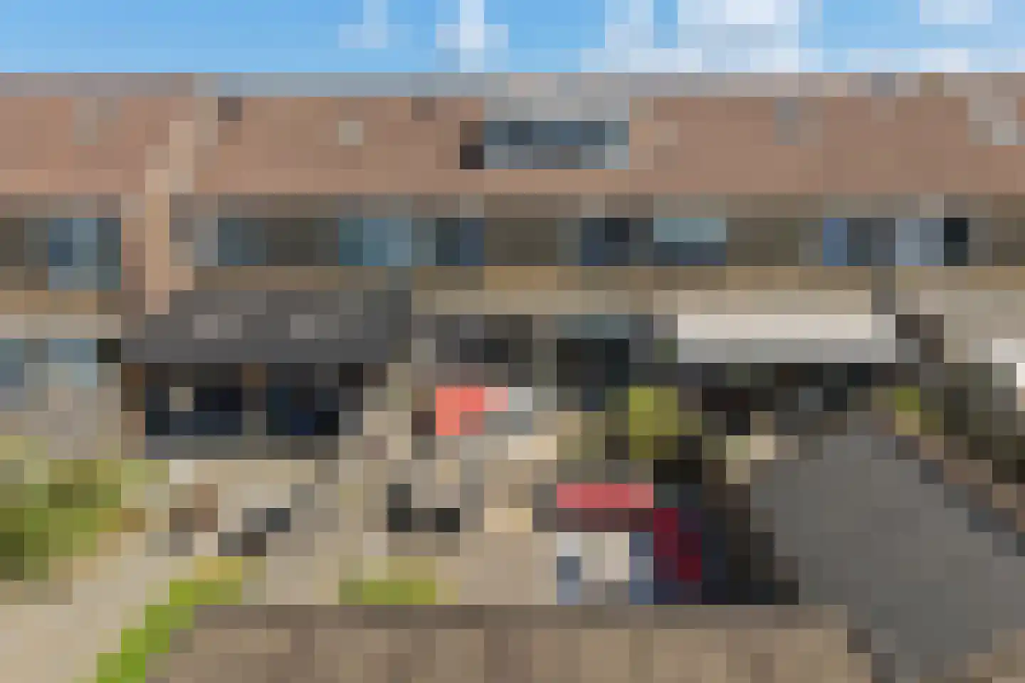 Botsaard 12 Kollum thumbnail 35