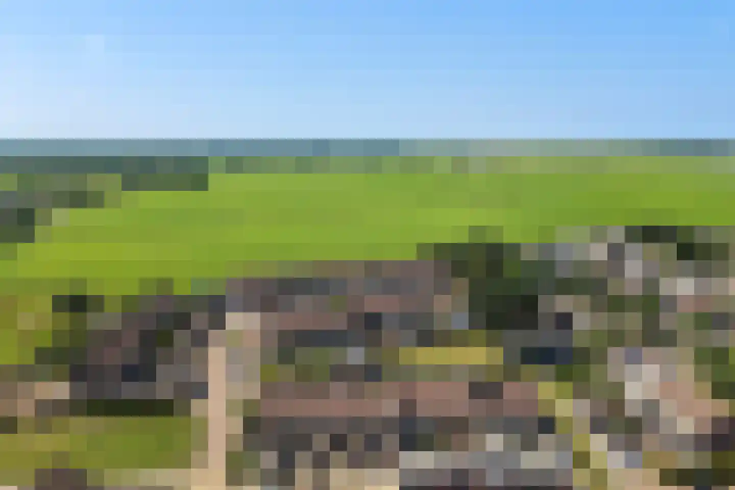 Botsaard 12 Kollum thumbnail 4