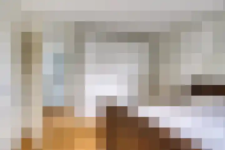 Botsehei 22 Veldhoven thumbnail 13