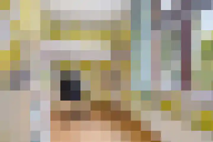 Botsehei 22 Veldhoven thumbnail 14