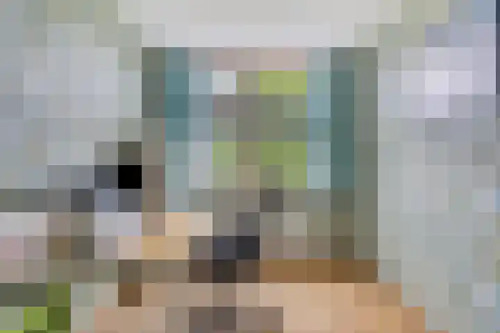 Botsehei 22 Veldhoven thumbnail 16