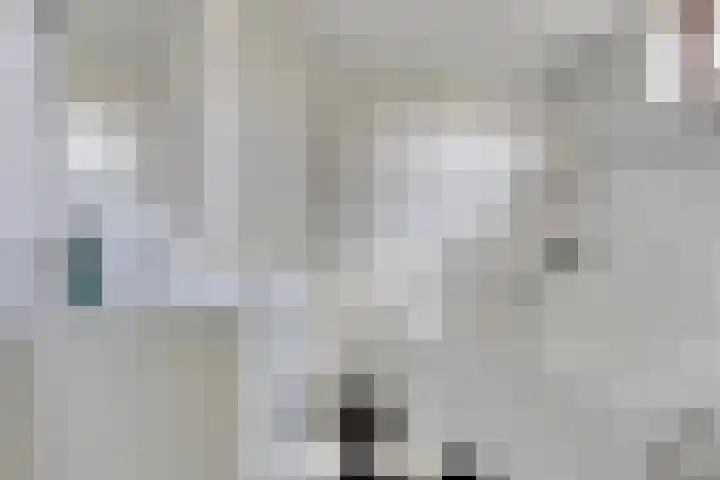 Botsehei 22 Veldhoven thumbnail 18