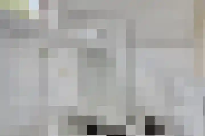 Botsehei 22 Veldhoven thumbnail 19