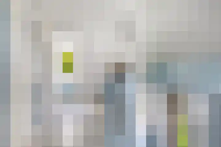 Botsehei 22 Veldhoven thumbnail 22
